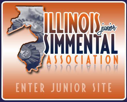 Enter IJSA Site